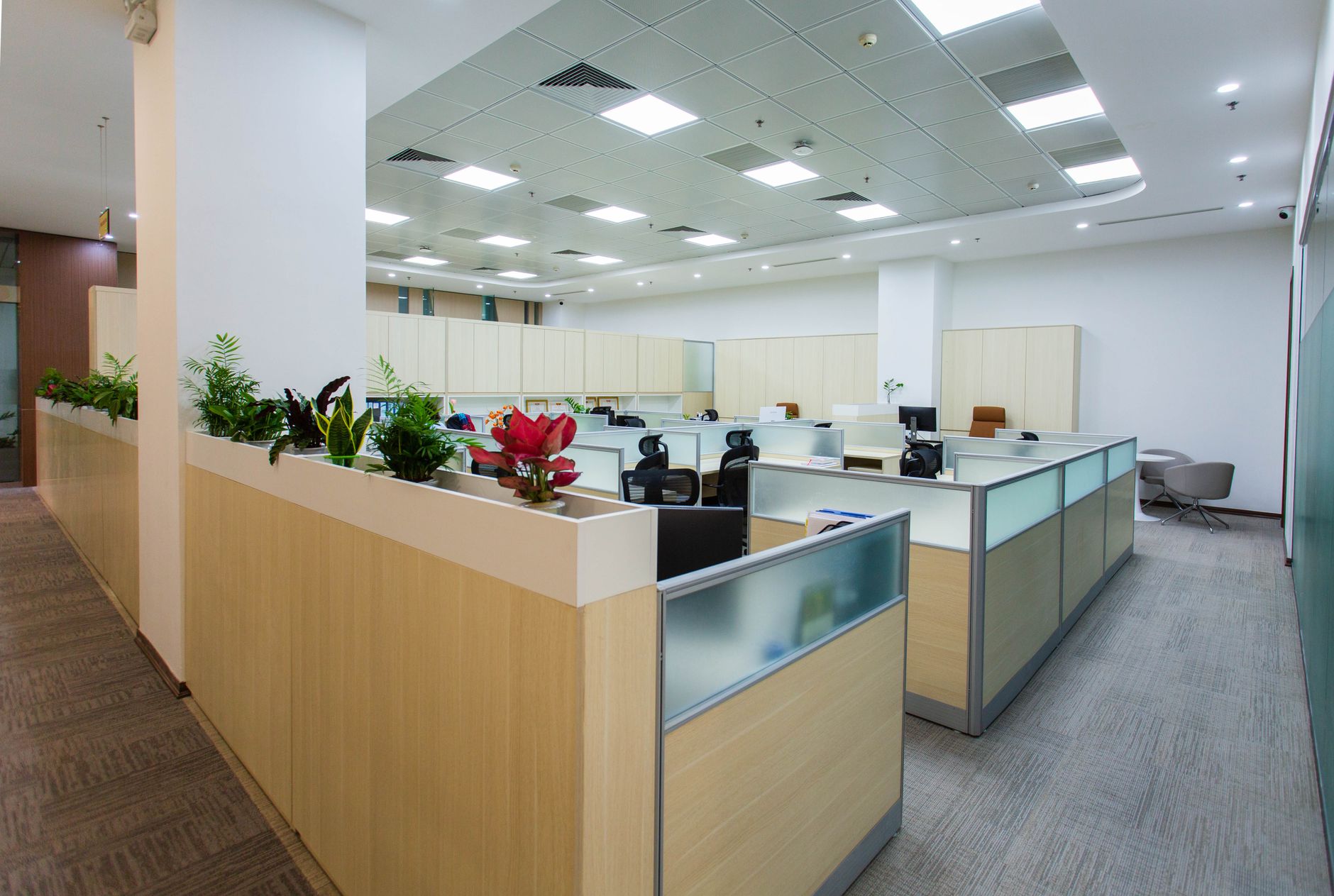Oficina con escritorios y plantas